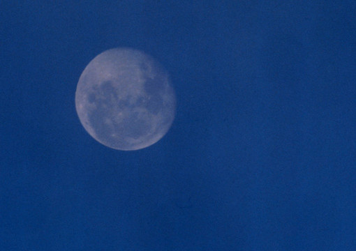 全Moon