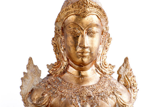 金尊