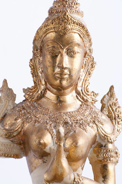 金尊