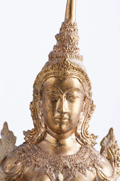 金尊