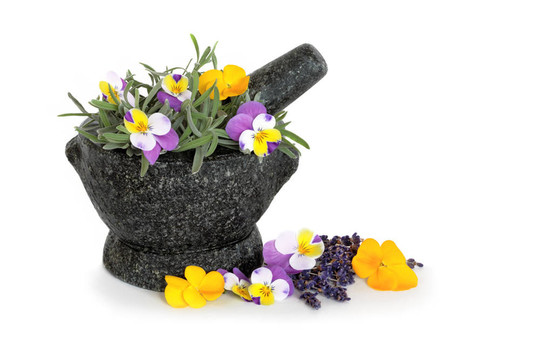 薰衣草和Viola Flowers