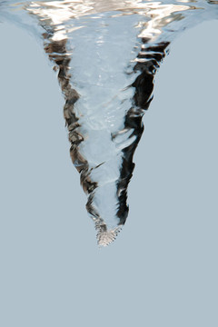 水旋渦