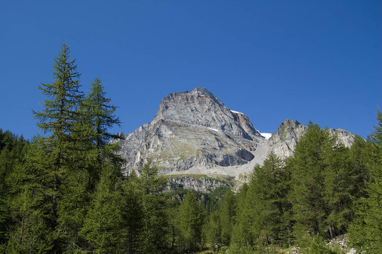 山地景觀