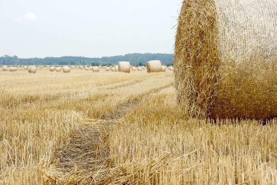 haybails