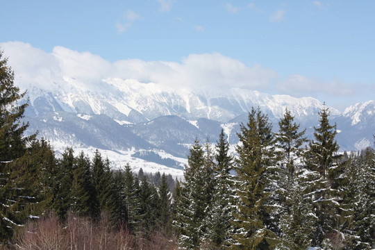 Charpatian景觀