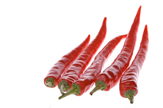 （紅辣椒的宏