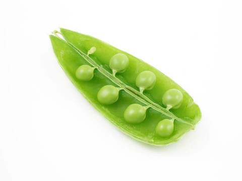 豆莢