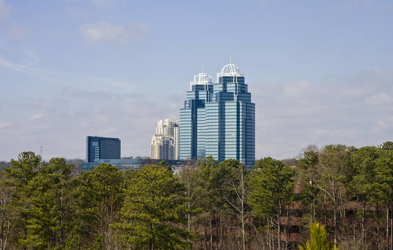 從遠處的樹上的塔