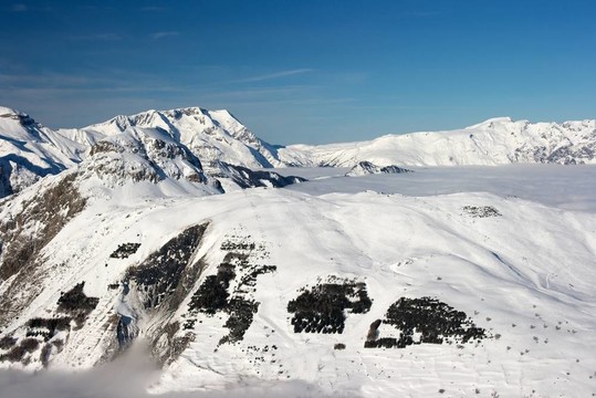 山