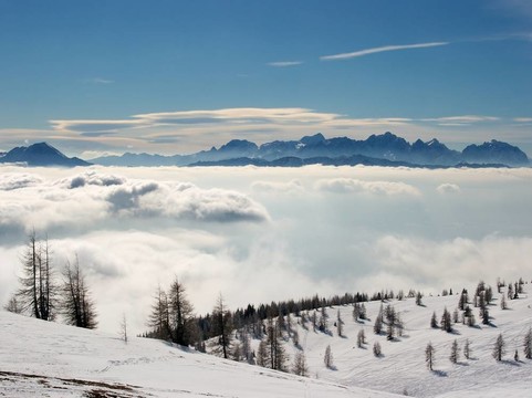 山