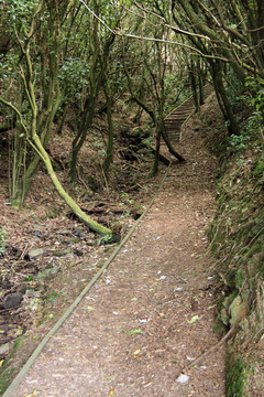 Wrights Hill；惠靈頓；新西蘭