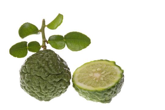 卡菲爾酸橙宏