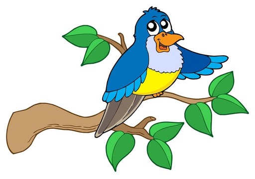 藍(lán)鳥(niǎo)坐在樹(shù)枝上