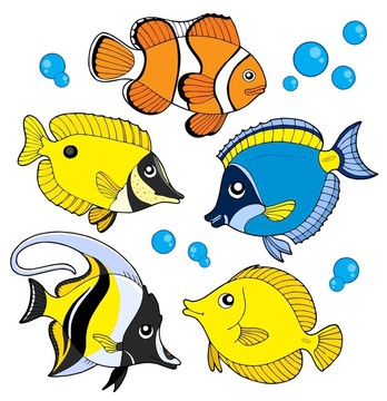 珊瑚魚收藏