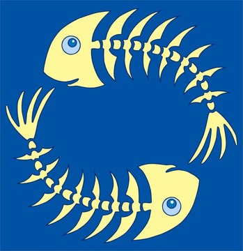 黃藍對魚骨