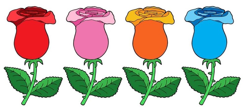 各色玫瑰集