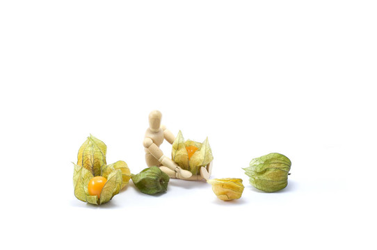 用酸漿木頭人