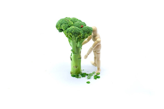 在花椰菜樹下的木頭人