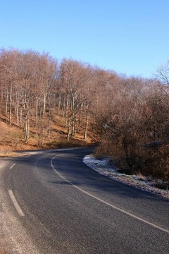 彎曲的路