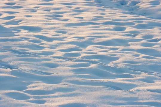 雪