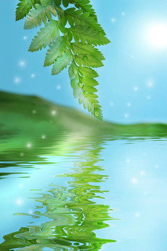 綠色植物與螢火蟲