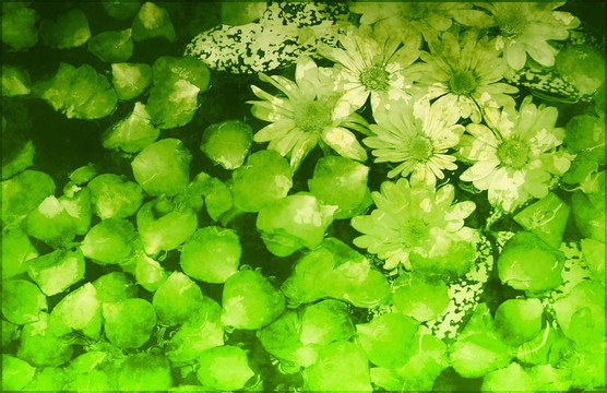 中世紀(jì)哥特式幻想夢(mèng)幻王國(guó)