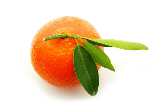 Tangerine夜店
