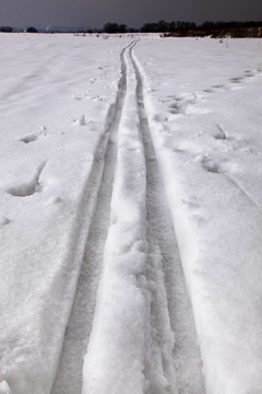 雪