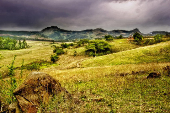 dsc_4223 - Yellow Ridge