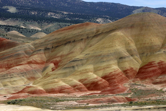 畫Hills俄勒岡