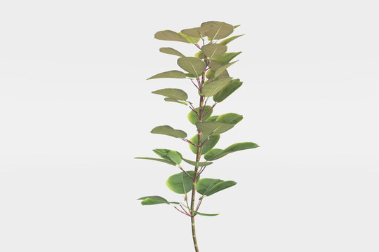 橡膠廠