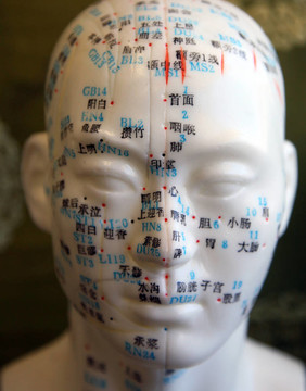 面部針灸模型