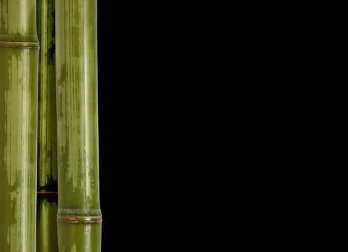 竹的背景