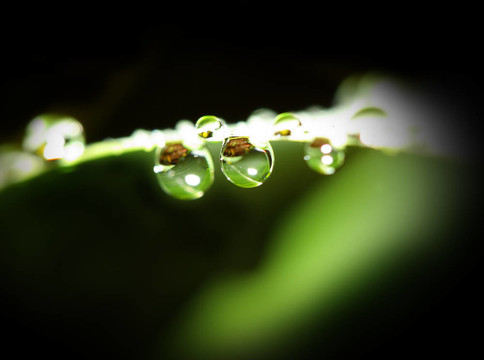 水滴背景