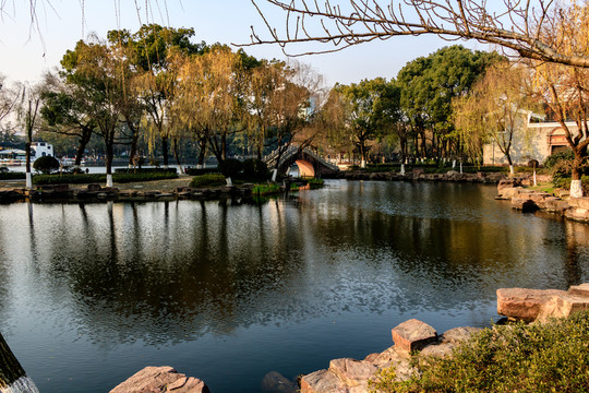 冬季公園景觀