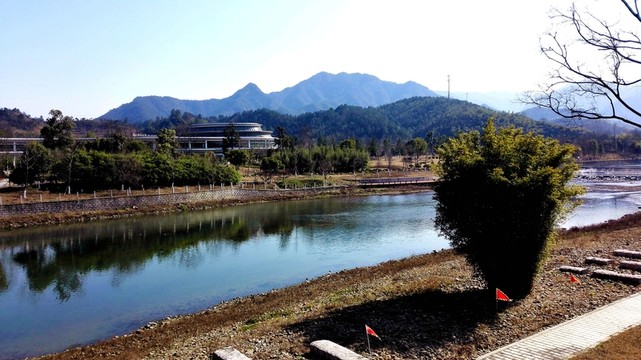 中國竹子博覽園