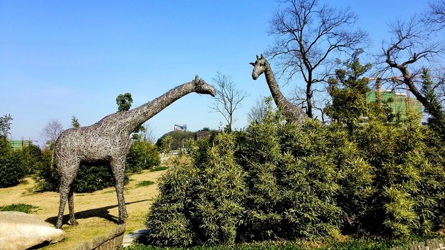 中國(guó)竹子博覽園
