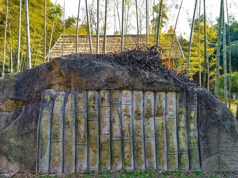 中國竹子博覽園