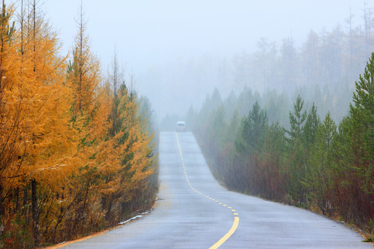 煙雨蒙蒙秋林公路