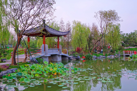 江南古典園林