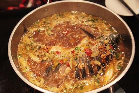 跳水魚(yú)
