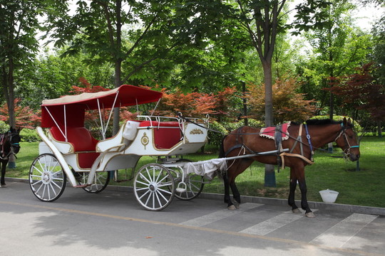 一輛馬車
