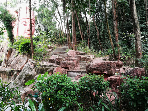 深圳羅湖東湖公園