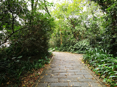 深圳羅湖東湖公園道路