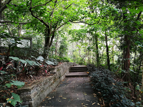 深圳羅湖東湖公園景區(qū)