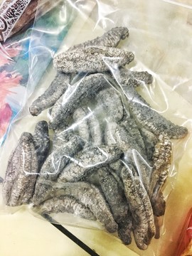 海參