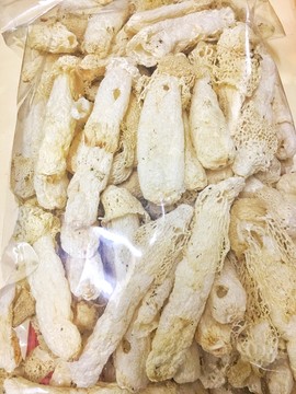 竹笙