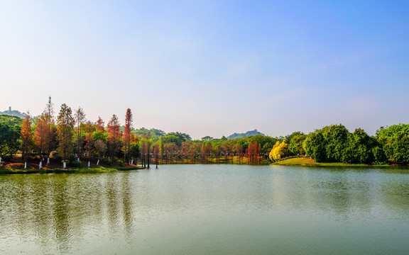 湖岸風(fēng)光