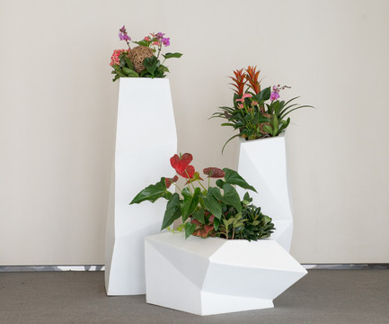 花盆