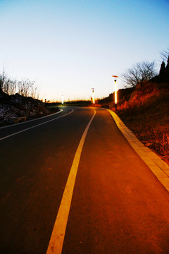 傍晚騎行綠道